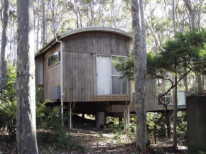 11 Burrawong